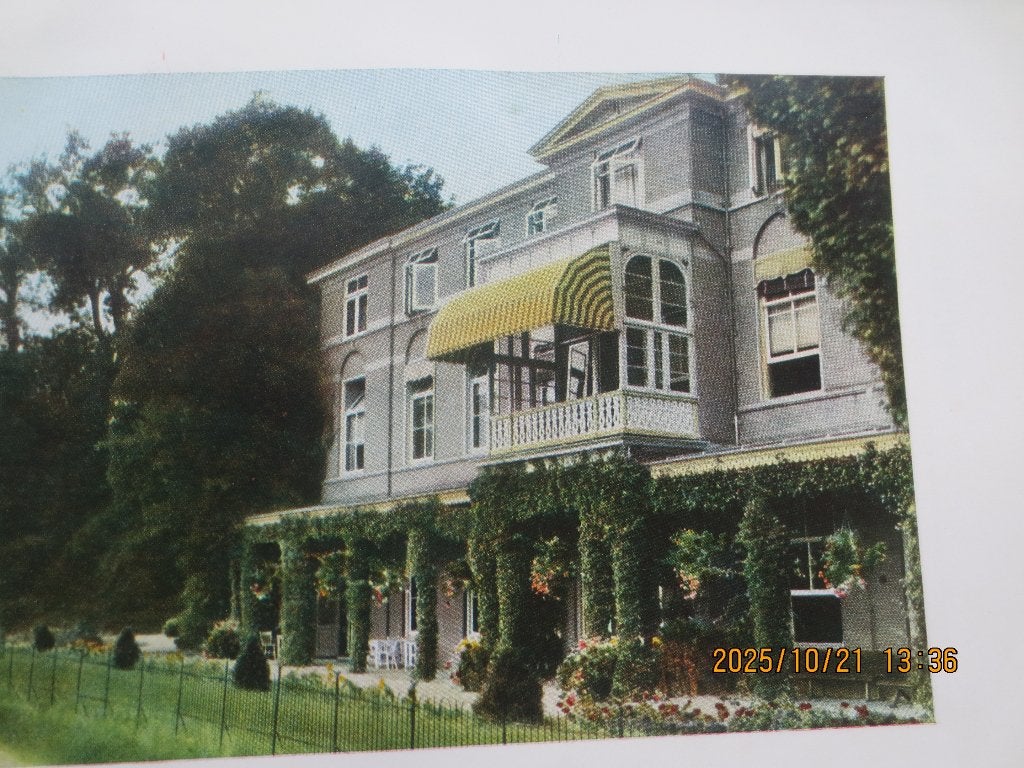 gedenkboek .Licht en Schaduw. Heemstede, Boeken, Ophalen of Verzenden, 19e eeuw, Gelezen
