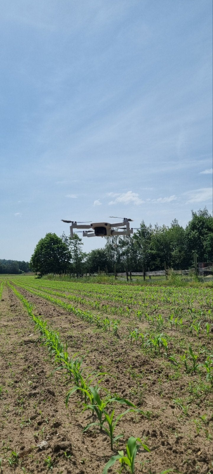 Dji mini 4k, Audio, Tv en Foto, Drones, Ophalen of Verzenden