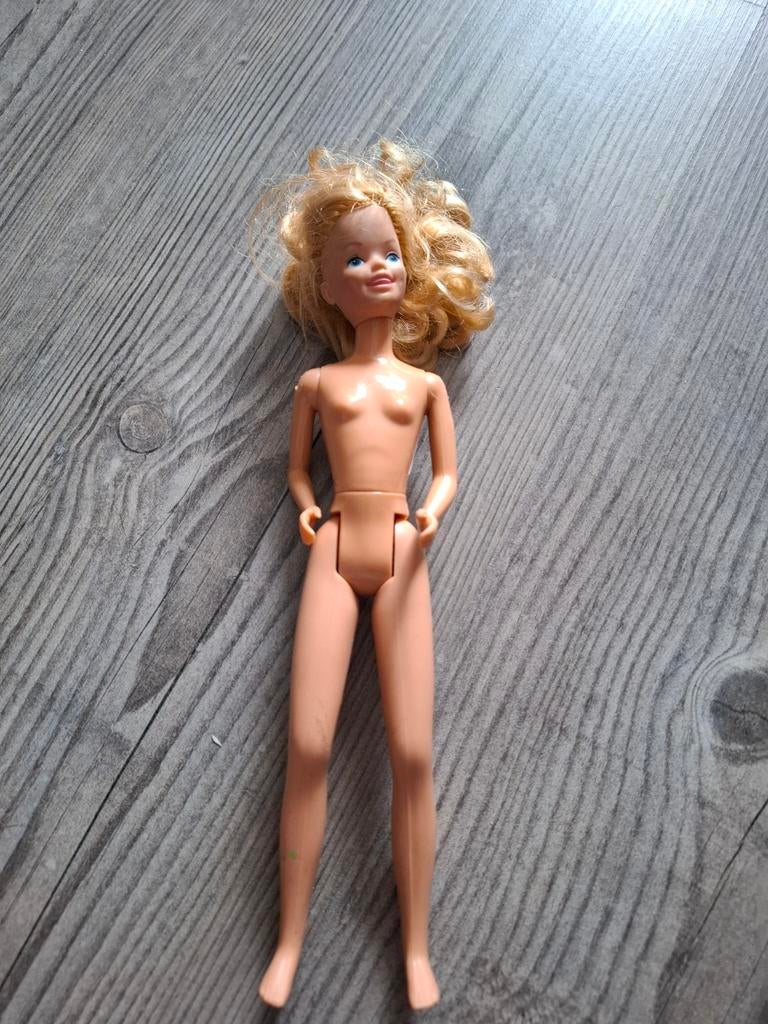 Barbie skipper, Ophalen of Verzenden, Barbie