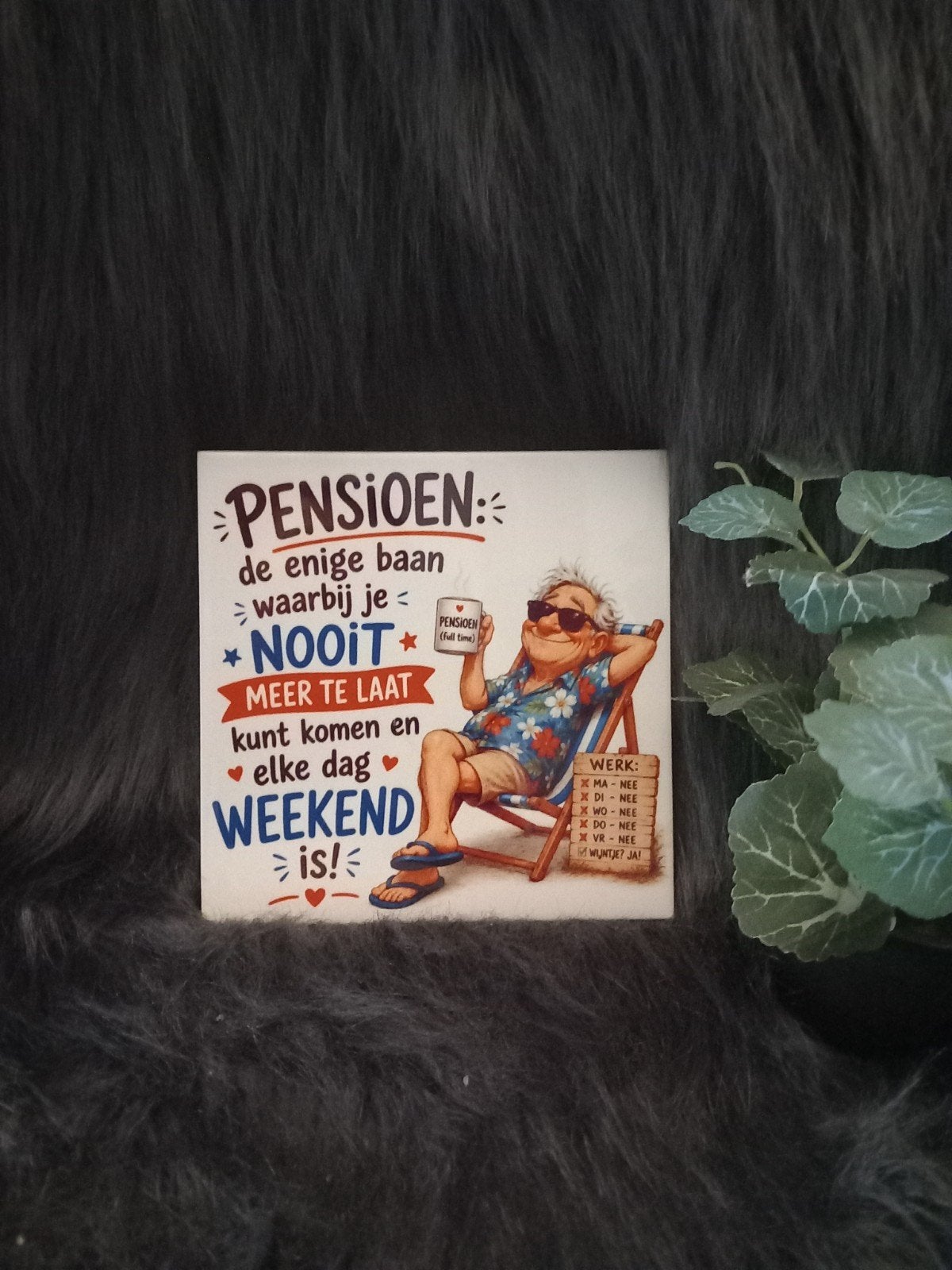 Leuke en grappige tegeltjes met spreuken, Huis en Inrichting, Ophalen of Verzenden, Nieuw