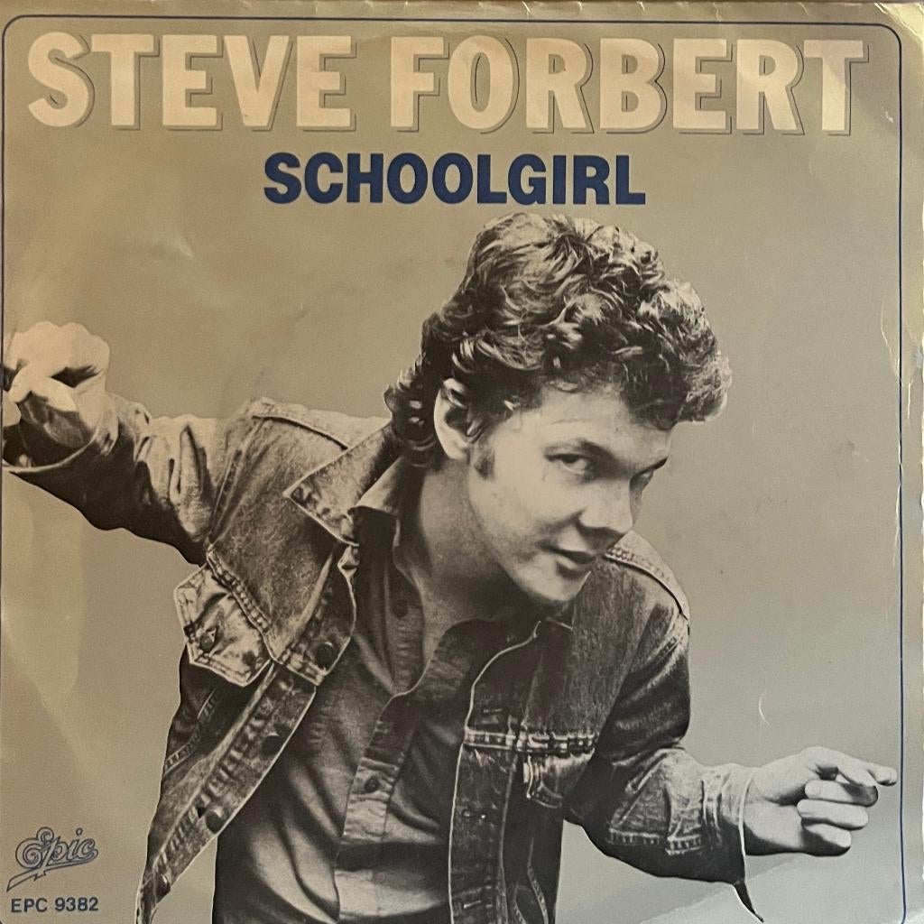 Steve Forbert - Schoolgirl, Fotohoes, Ophalen of Verzenden, Gebruikt, Pop