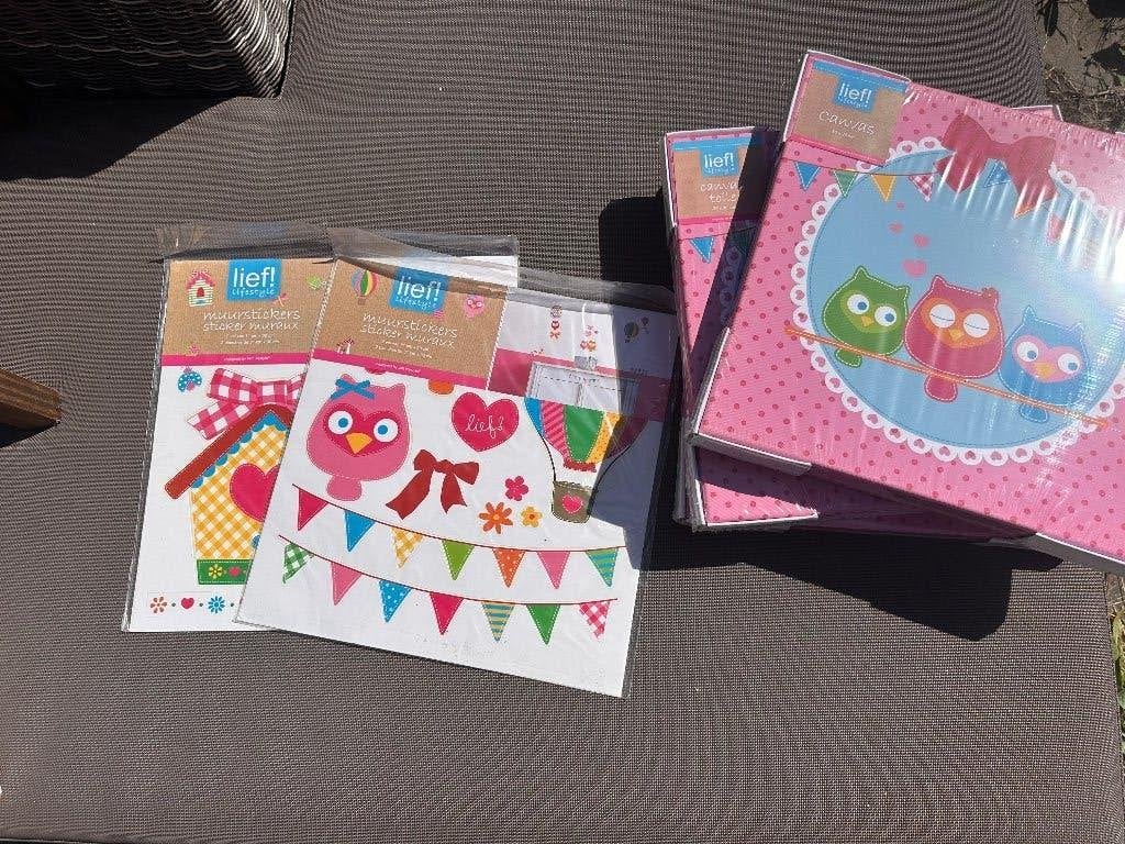 Nieuw van lief: Leuke  canvasdoekjes en muurstickers, Ophalen of Verzenden, Nieuw, Minder dan 50 cm, Schilderij
