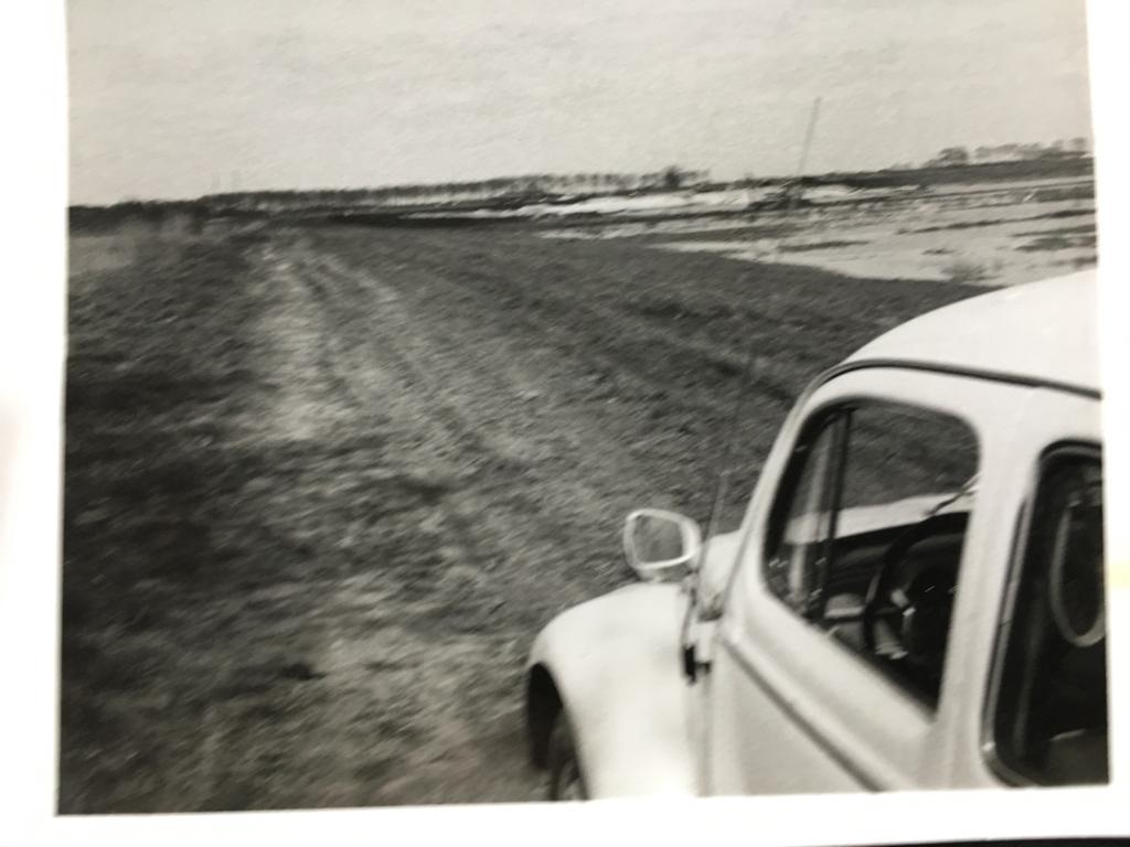 3 foto’s  VW kevers / jaren zestig , Foto, Ophalen of Verzenden, Zo goed als nieuw, 1940 tot 1960