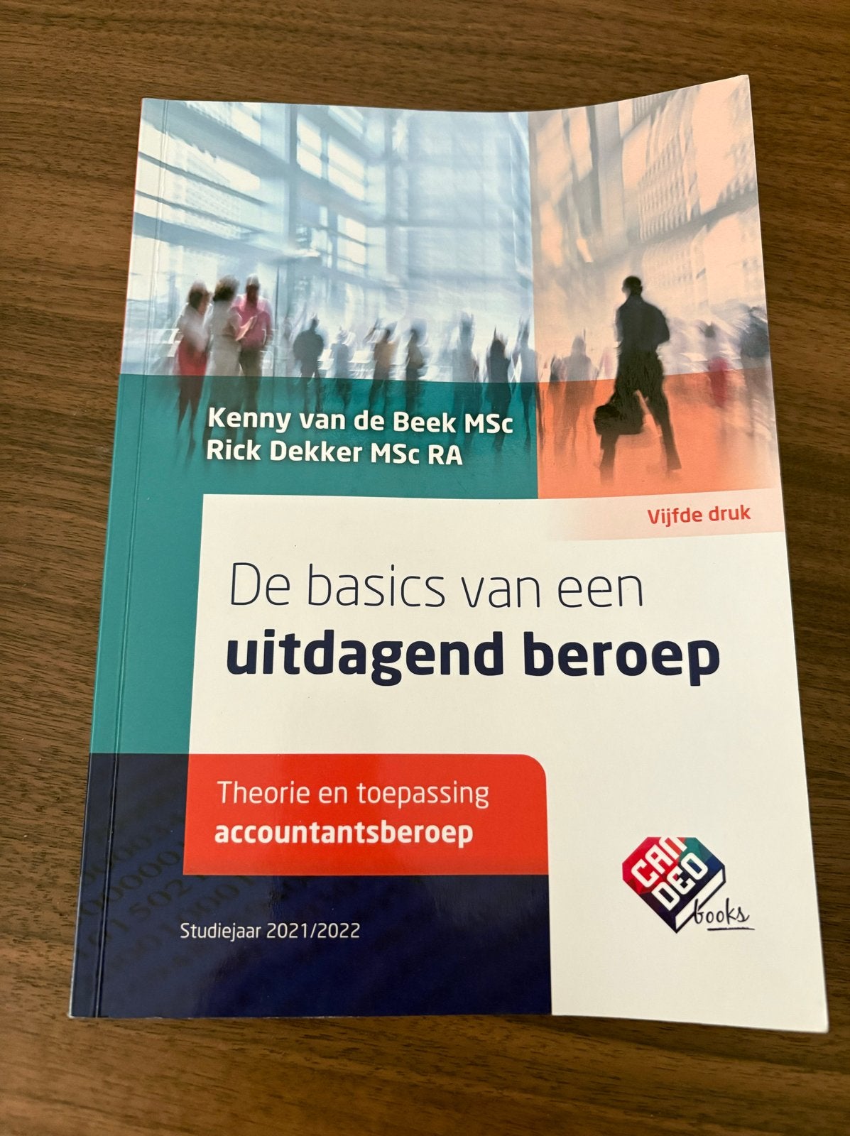 De basics van een uitdagend beroep - Accountancy, Ophalen of Verzenden, Gamma, Zo goed als nieuw, HBO