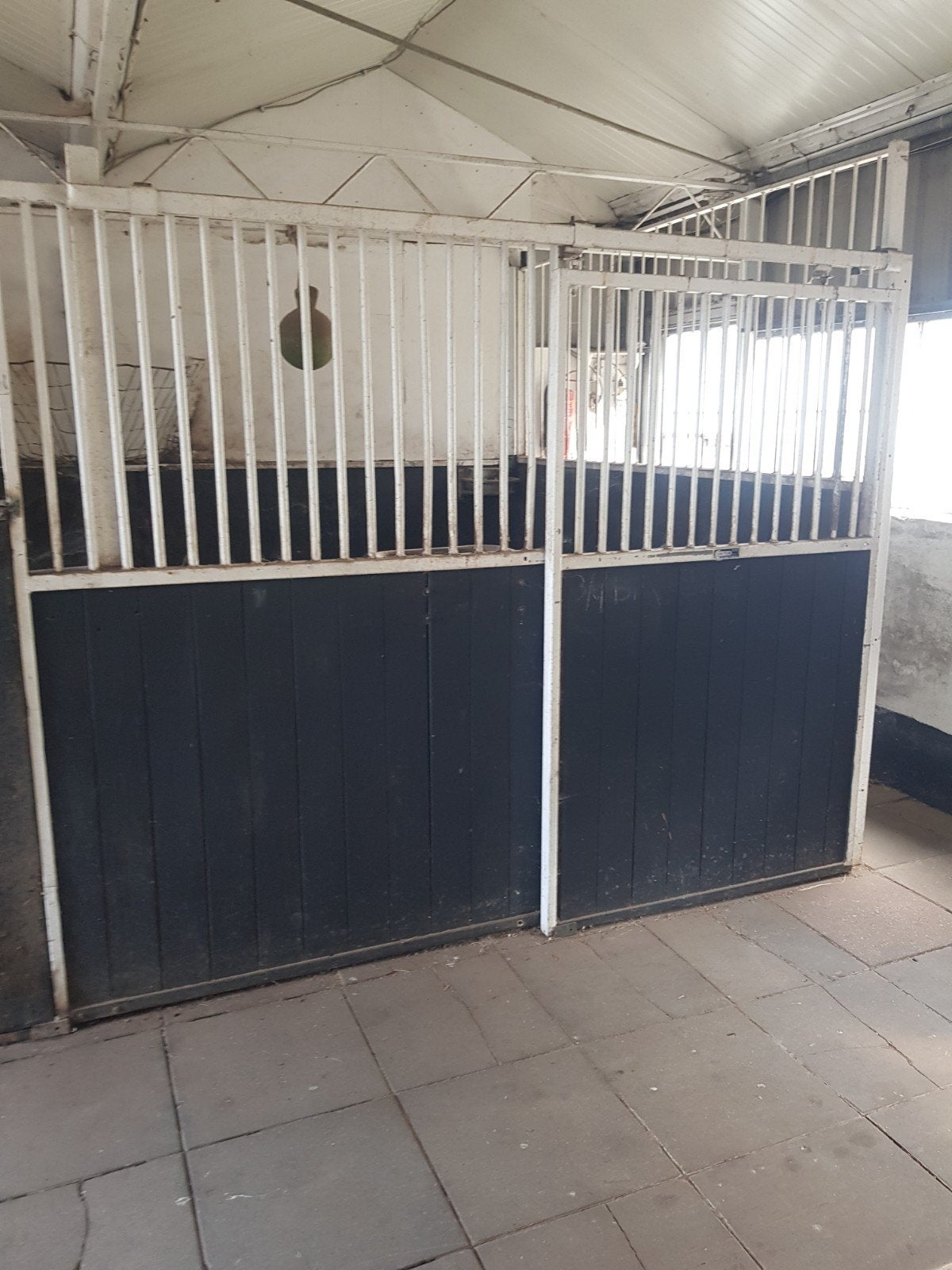 paardenboxen te koop 3 bij 2.80