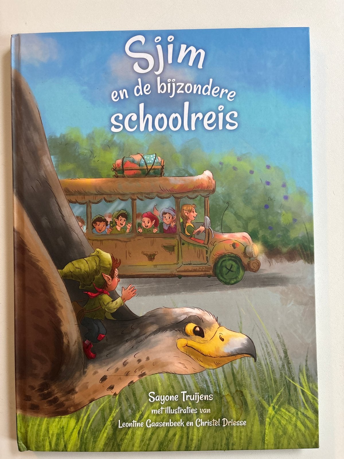 Sjim en de bijzondere schoolreis - Sayone Truijens, Ophalen of Verzenden, Zo goed als nieuw, Fictie algemeen