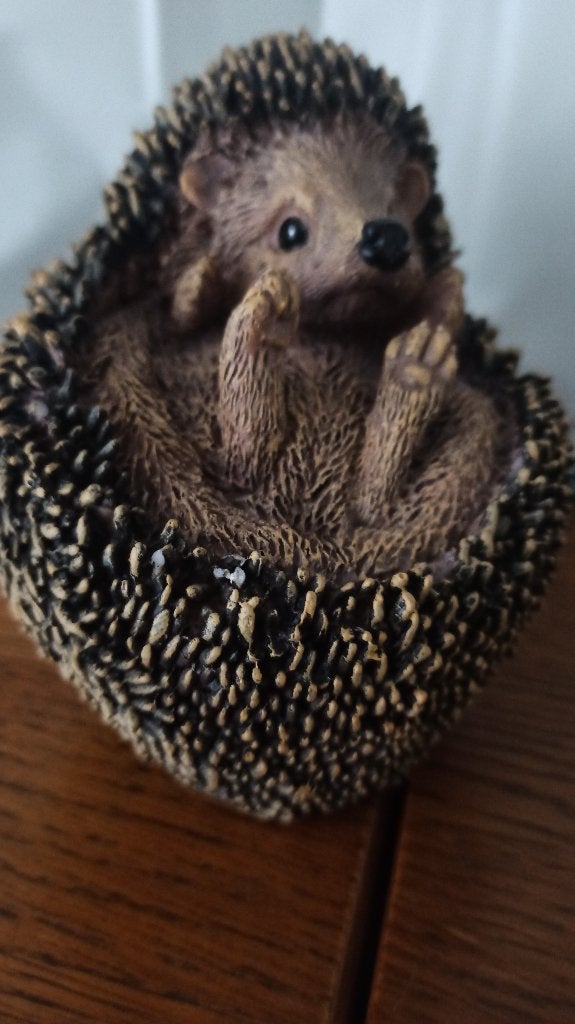 Egel gaat slapen, Verzamelen, Beelden en Beeldjes, Ophalen of Verzenden, Nieuw, Dier