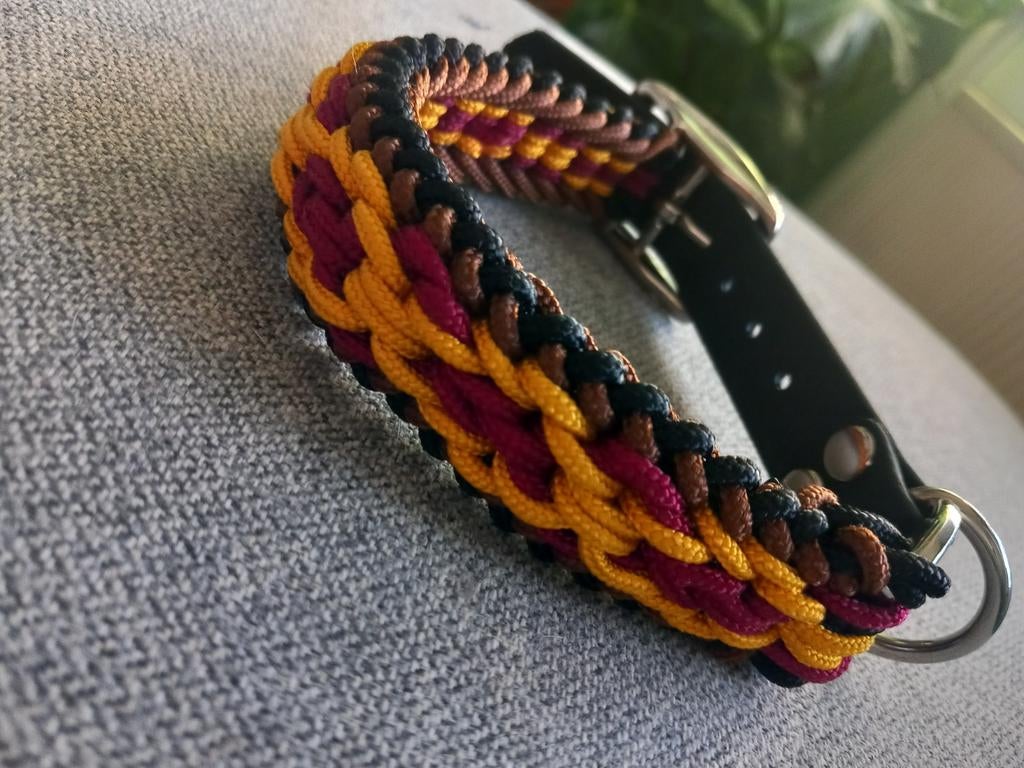 Honden halsband, Ophalen of Verzenden, Nieuw
