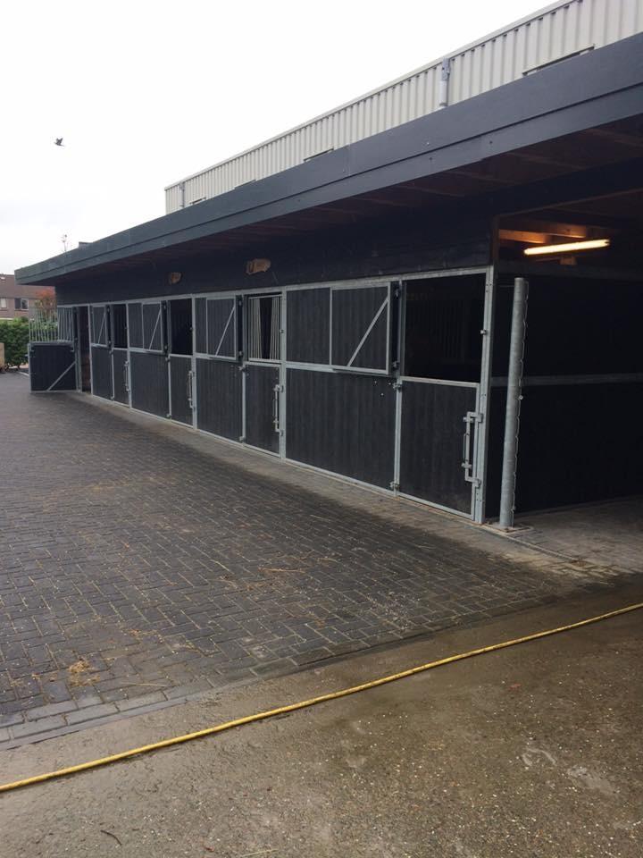 Per 1 April komt er een stal vrij, eerder kan ook., Dieren en Toebehoren, Stalling en Weidegang, Weidegang, 1 paard of pony