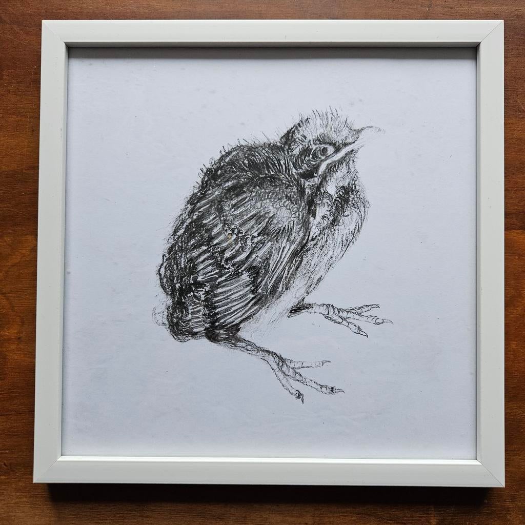 Jong vogeltje., Antiek en Kunst, Ophalen of Verzenden