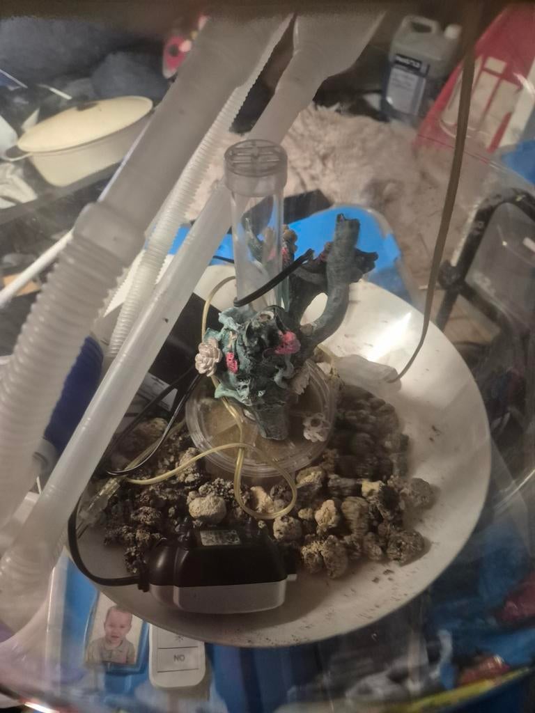 Biorb vissenkom, Ophalen of Verzenden, Gebruikt, Leeg aquarium