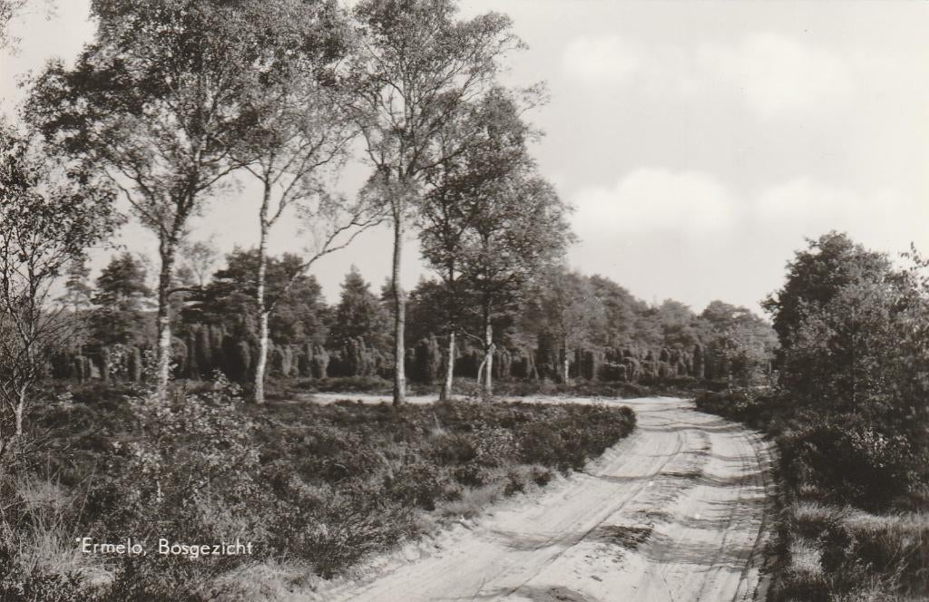 Ermelo, Verzamelen, Ansichtkaarten | Nederland, Ophalen of Verzenden, 1940 tot 1960, Ongelopen, Gelderland