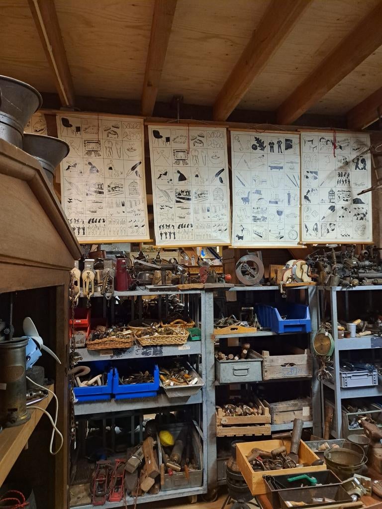 Schoolplaten, Ophalen of Verzenden, Natuur en Biologie