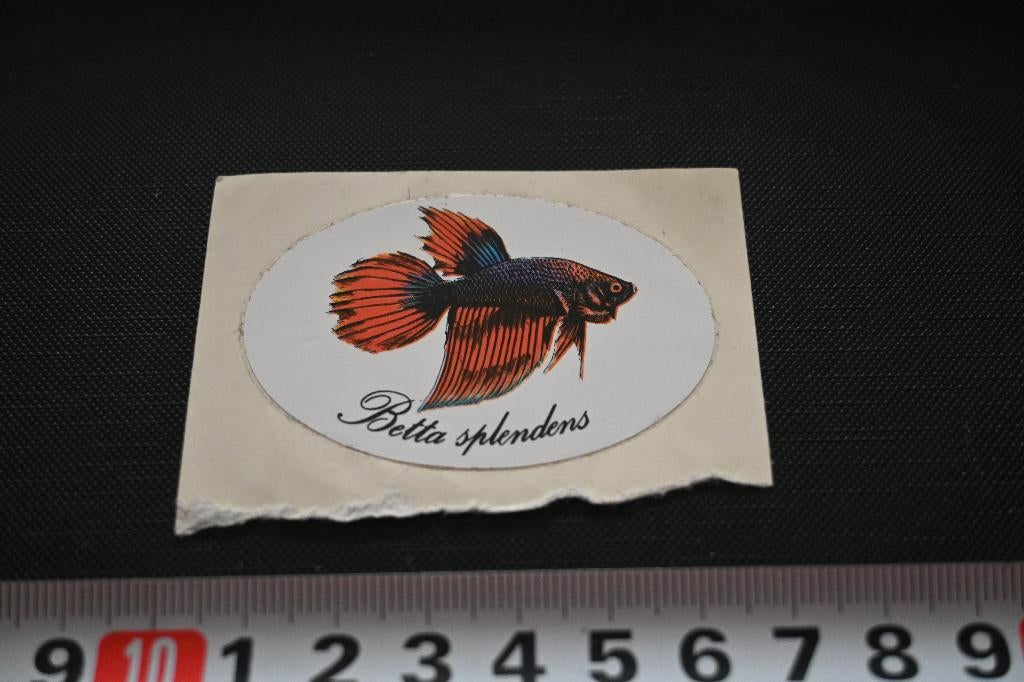 sticker strip guppy vis betta splendens, Verzamelen, Stickers, Zo goed als nieuw, Ophalen