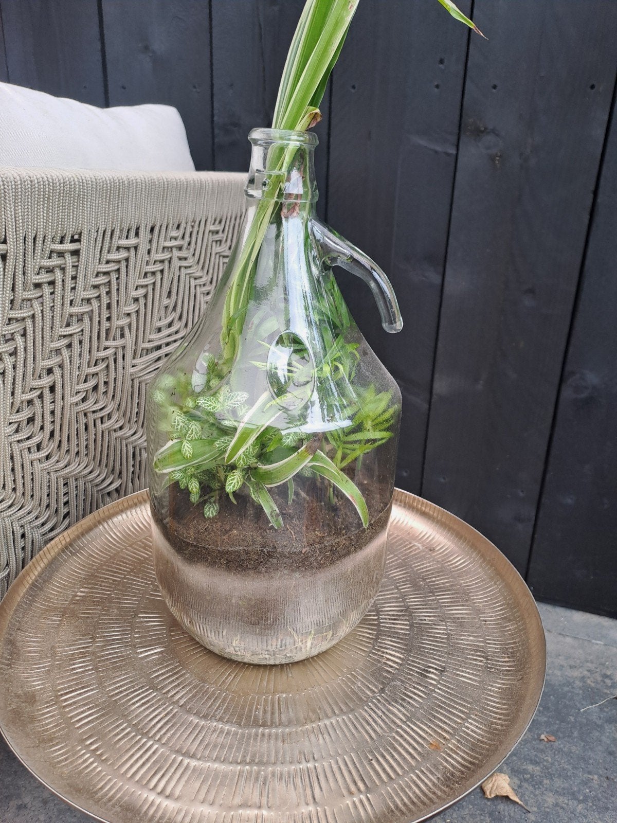 Glazen vaas met handvat en planten, Gebruikt, Transparant, Ophalen of Verzenden, Glas