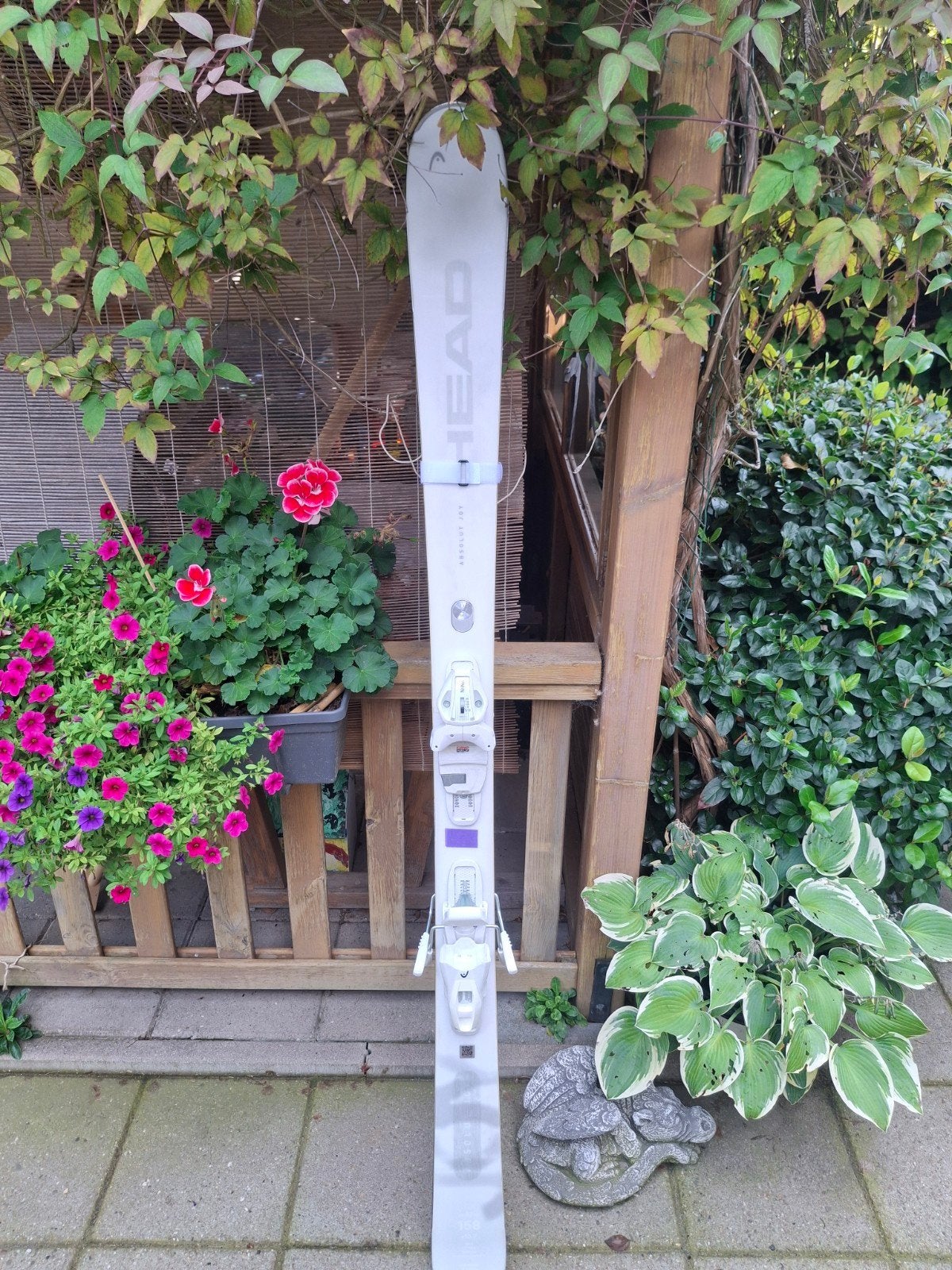 Head Absolut Joy ski's 158 cm met bindingen, Ophalen, 140 tot 160 cm, Gebruikt, Skiën