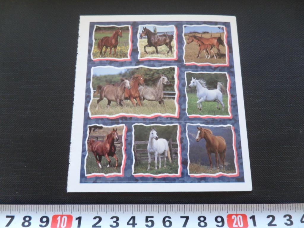 sticker set Paard Paarden GD063 *, Ophalen, Zo goed als nieuw
