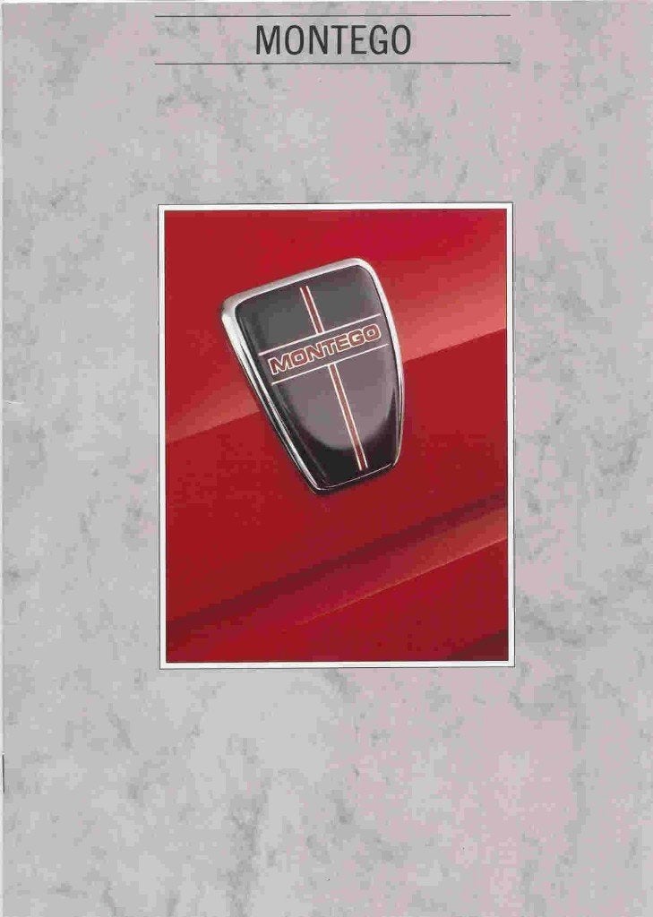 Austin Montego, Ophalen of Verzenden, Nieuw, Overige merken