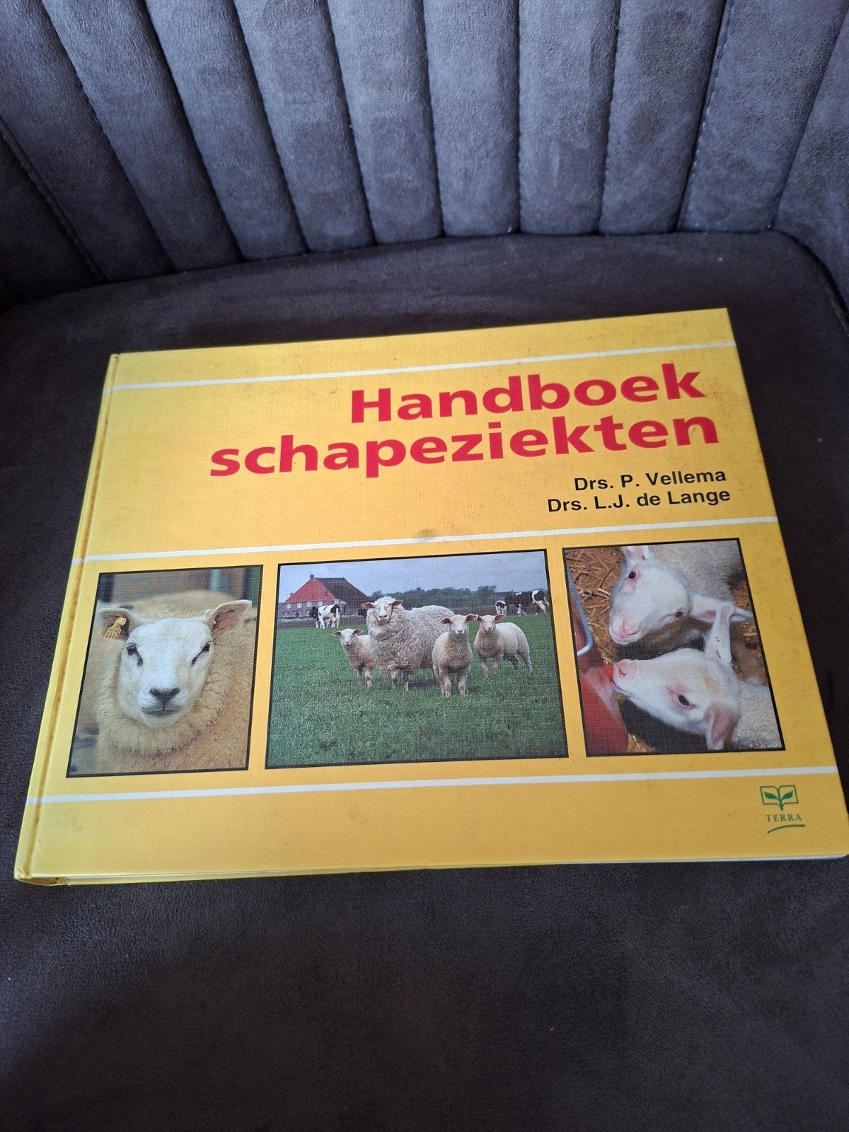 Handboek schapeziekten - Dr. P. Vellema & Dr. L.J. de Lange, Ophalen of Verzenden, Zo goed als nieuw, Dr. P. Vellema, Dr. L.J. de Lange