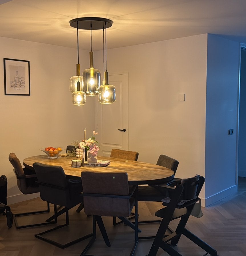 6 eetkamerstoelen