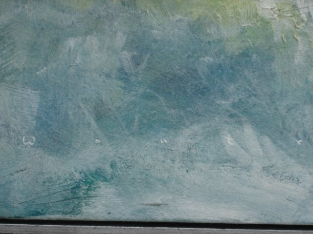 Landschap schilderij TEXEL Wouter Weerman, Ophalen, Overige stijlen, Doek, Ingelijst