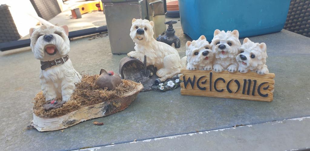 Leuke decoratie beeldjes van Westie honden, Gebruikt, Kunststof, Ophalen of Verzenden, Landelijk