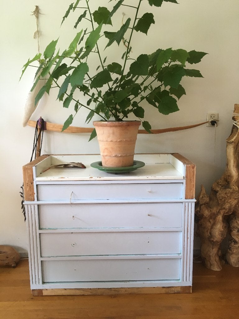 Commode op wieltjes, Kinderen en Baby's, Kinderkamer | Commodes en Kasten, Ophalen, Gebruikt, 50 tot 70 cm, 75 tot 100 cm