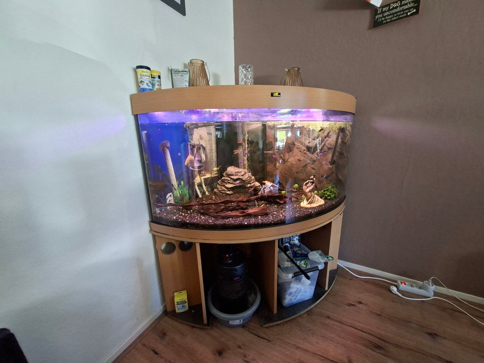 hoek aquarium, Dieren en Toebehoren, Ophalen, Leeg aquarium