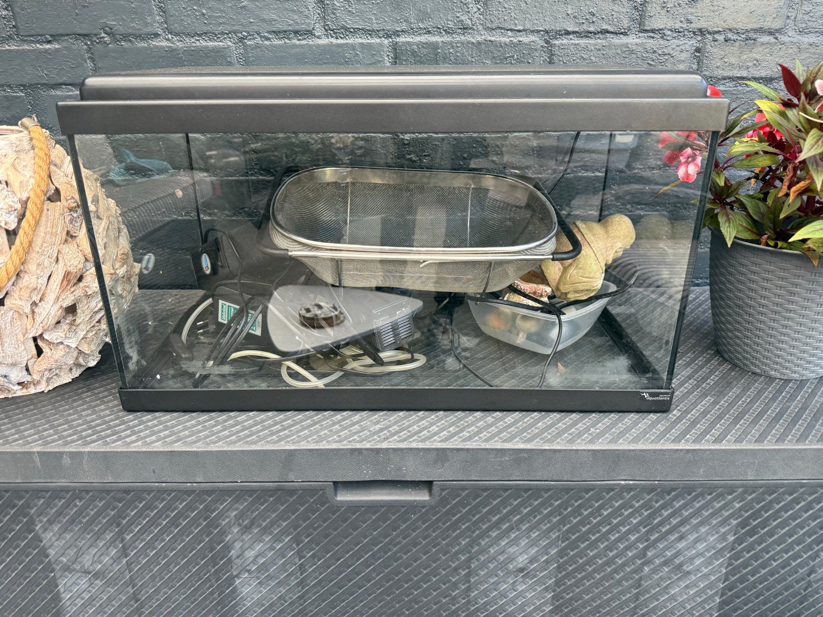 Aquarium, Ophalen of Verzenden