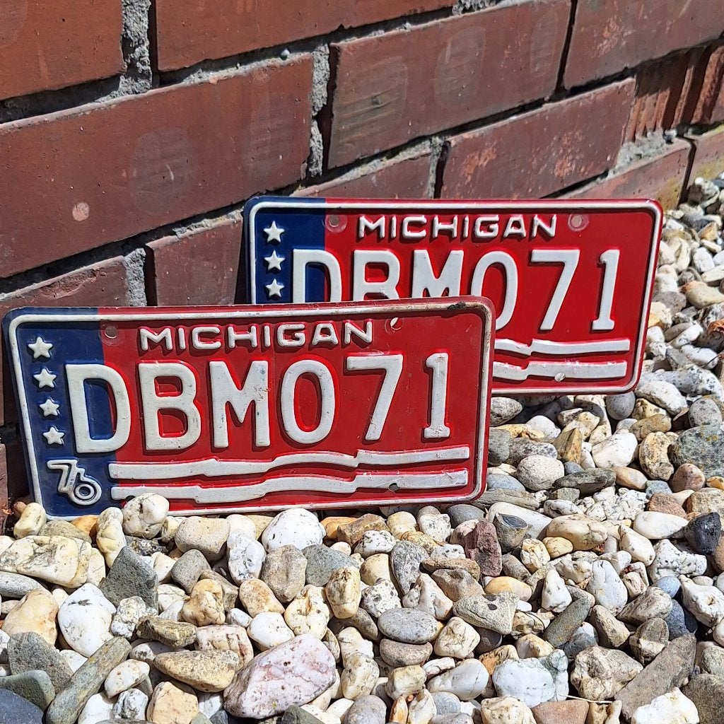 Set 2 originele USA license plates van de staat Michigan., Ophalen of Verzenden, Gebruikt, Auto's