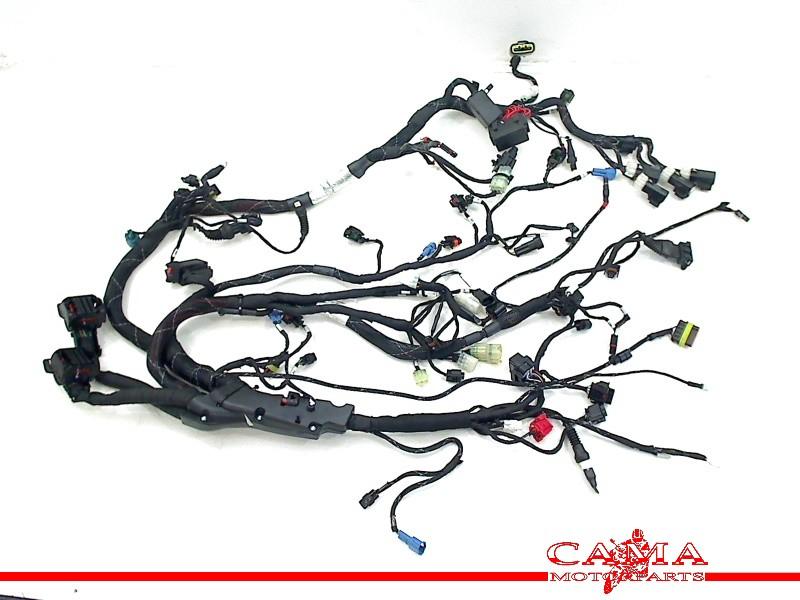 Kabelboom Ducati Diavel 1260 + S (2019-2022) 2022 5101G921C0, Cama Motorparts, Gebruikt, Info@cama-motorparts.nl, P.J. Troelstraweg 8, MAASSLUIS 3144 CX, Zuid Holland, , Nederland