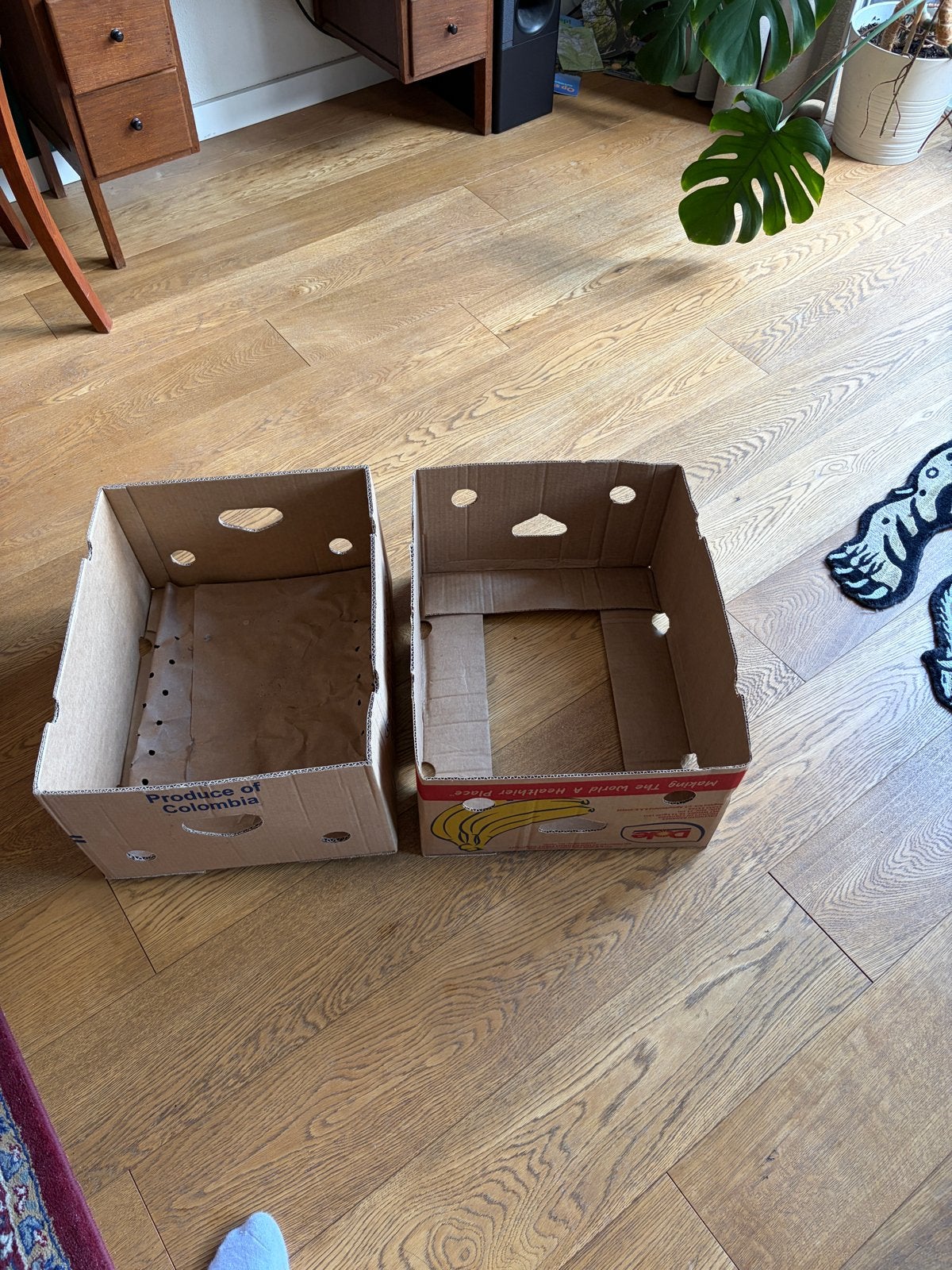 Stevige bananen verhuisdozen  15 - Ideaal voor je verhuizing, Doe-het-zelf en Verbouw, Kratten en Dozen, Ophalen, 40 tot 60 cm