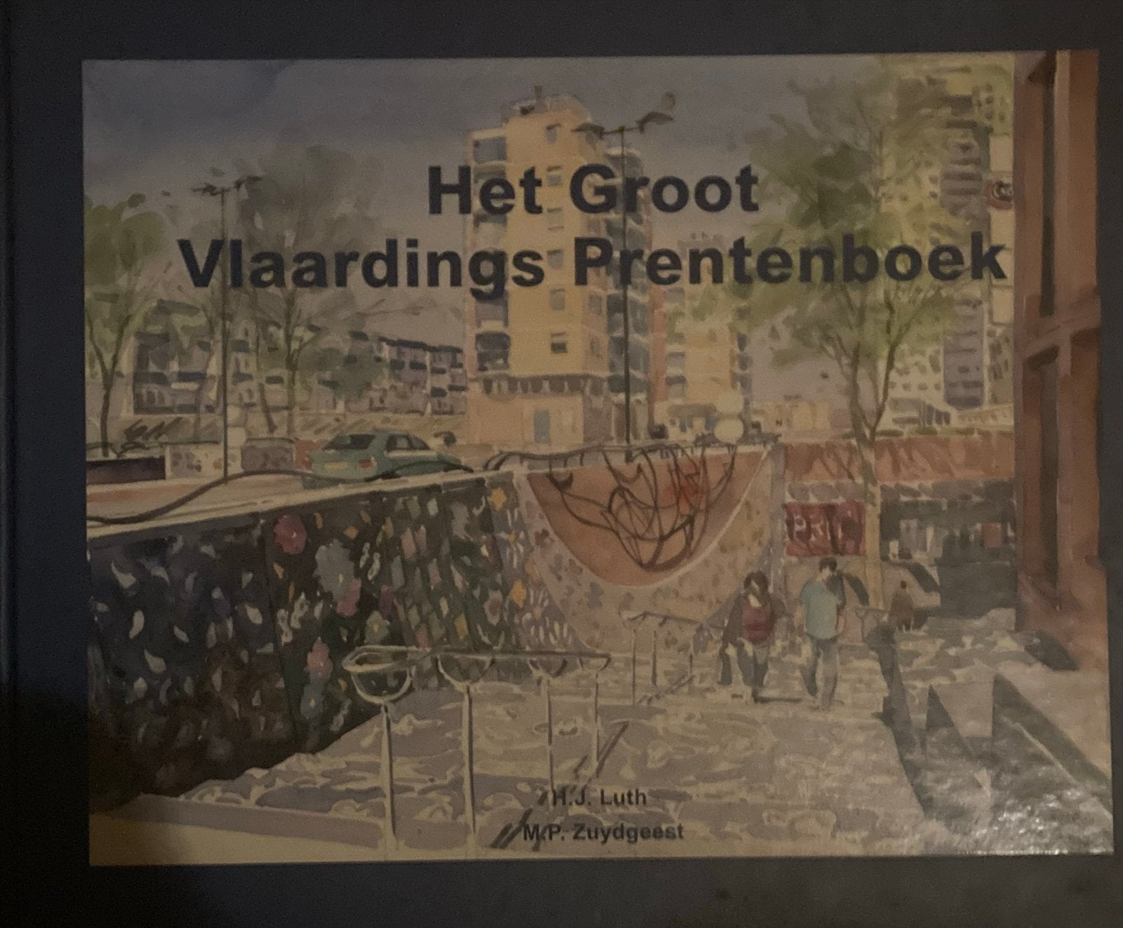 Het Groot Vlaardings Prentenboek - H.J. Luth & M.P. Zuydegee, Ophalen of Verzenden, Zo goed als nieuw, Prentenboek