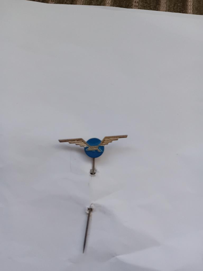 Pin - BRUYNZEEL, Ophalen of Verzenden, Zo goed als nieuw, Merk, Speldje of Pin