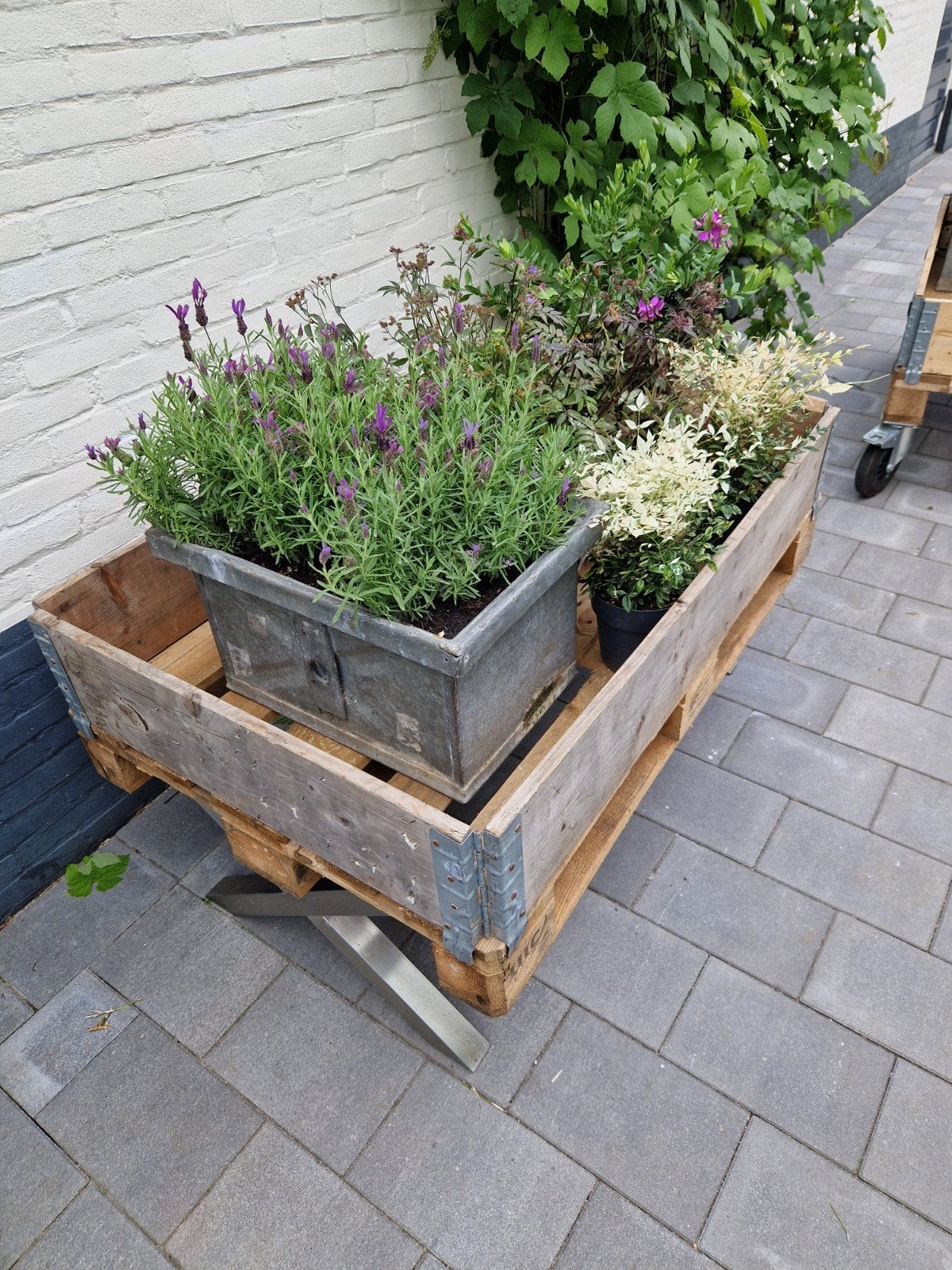 Bloempot, Ophalen of Verzenden
