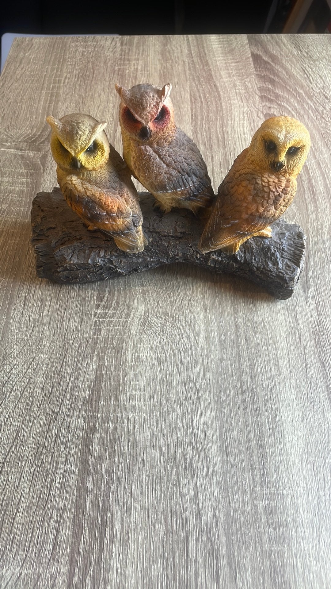 3 uilen standbeeld merk is home accents, Ophalen, Zo goed als nieuw, Dier