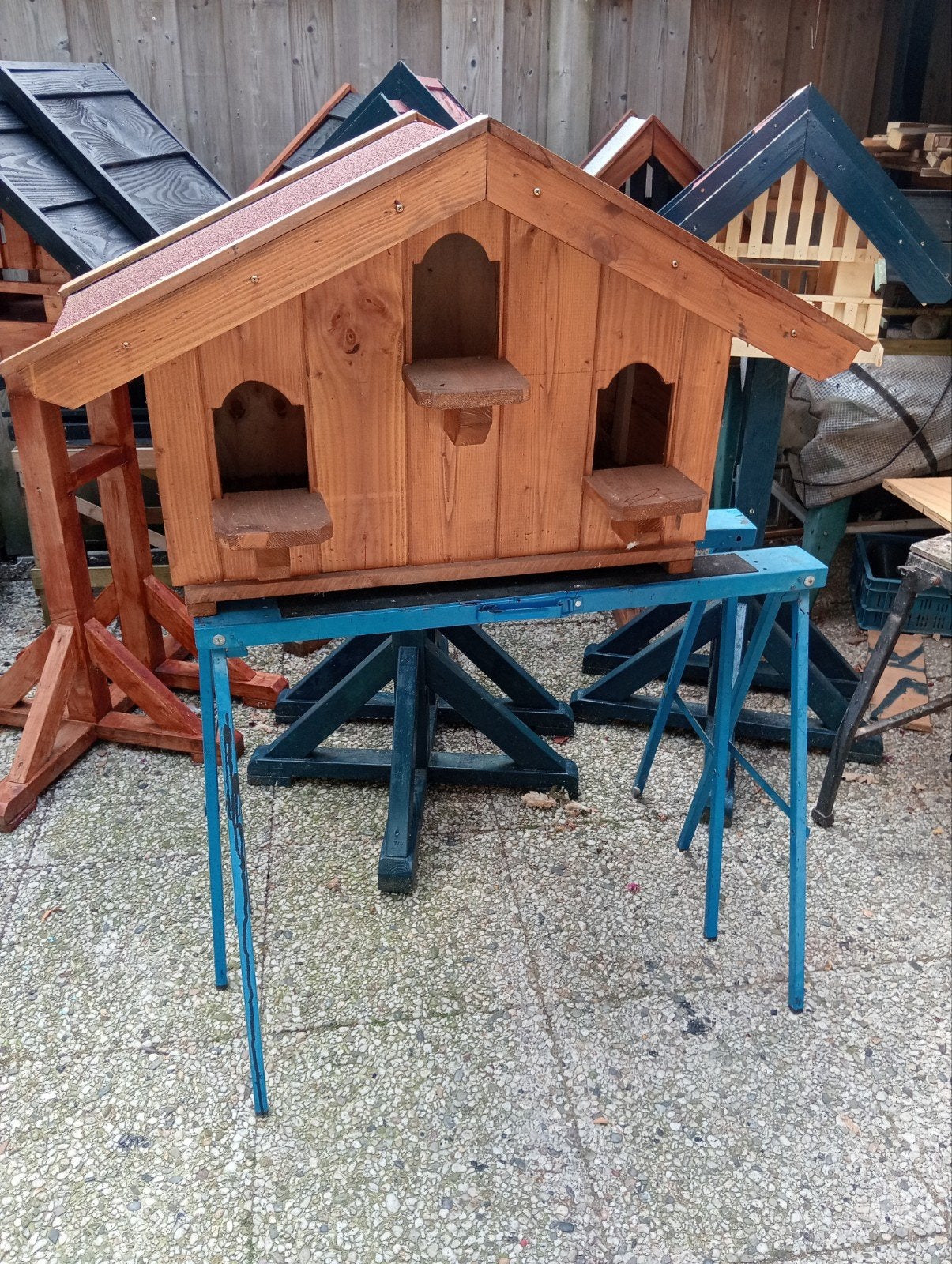 mooie wand duiven til, Meerdere dieren, Postduif