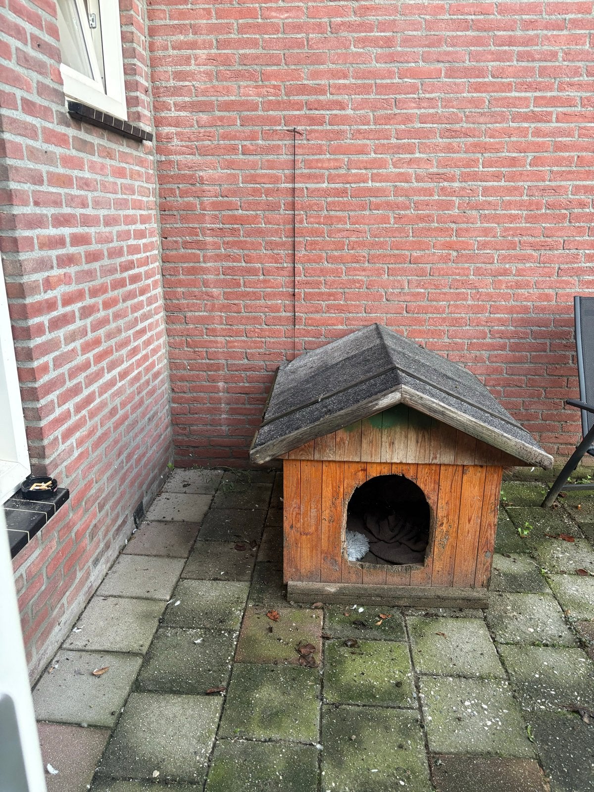 Hondenhok, Dieren en Toebehoren, Ophalen, Gebruikt, 110 cm of meer, 100 cm of meer