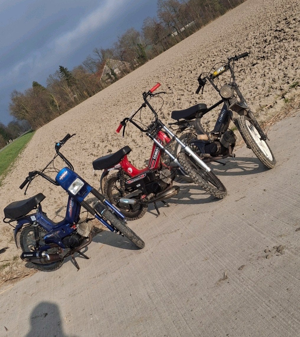 Gezocht tomos 50cc, Ophalen of Verzenden, Standard