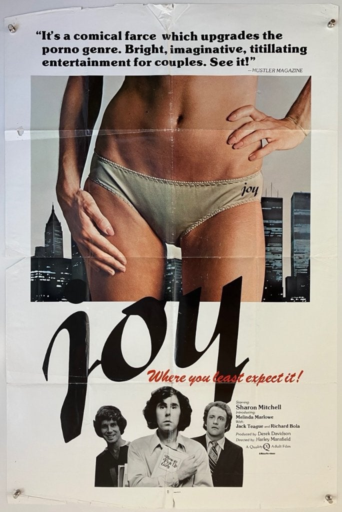Joy (1977) - Originele filmposter, Verzamelen, Verzenden, Gebruikt, A1 t/m A3, Film en Tv