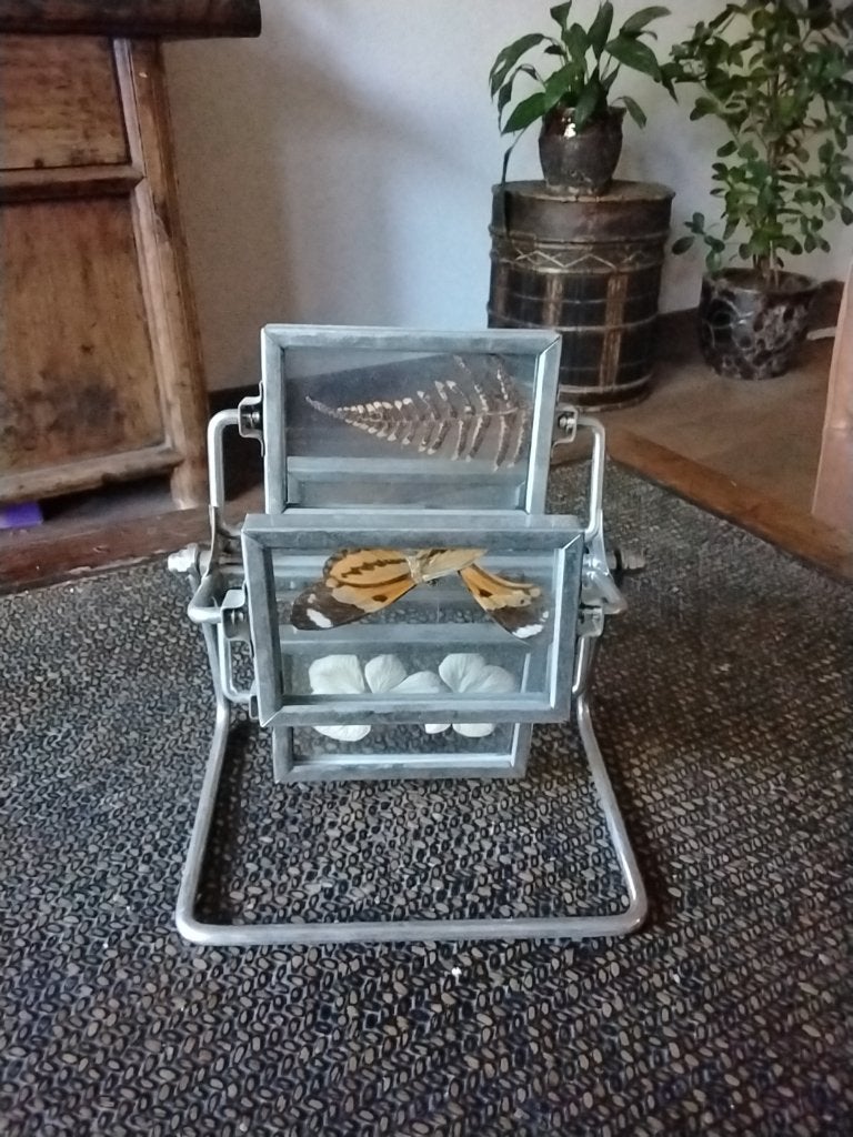 Oud draaibaar fotolijstje met 4 glasplaatjes, Ophalen of Verzenden