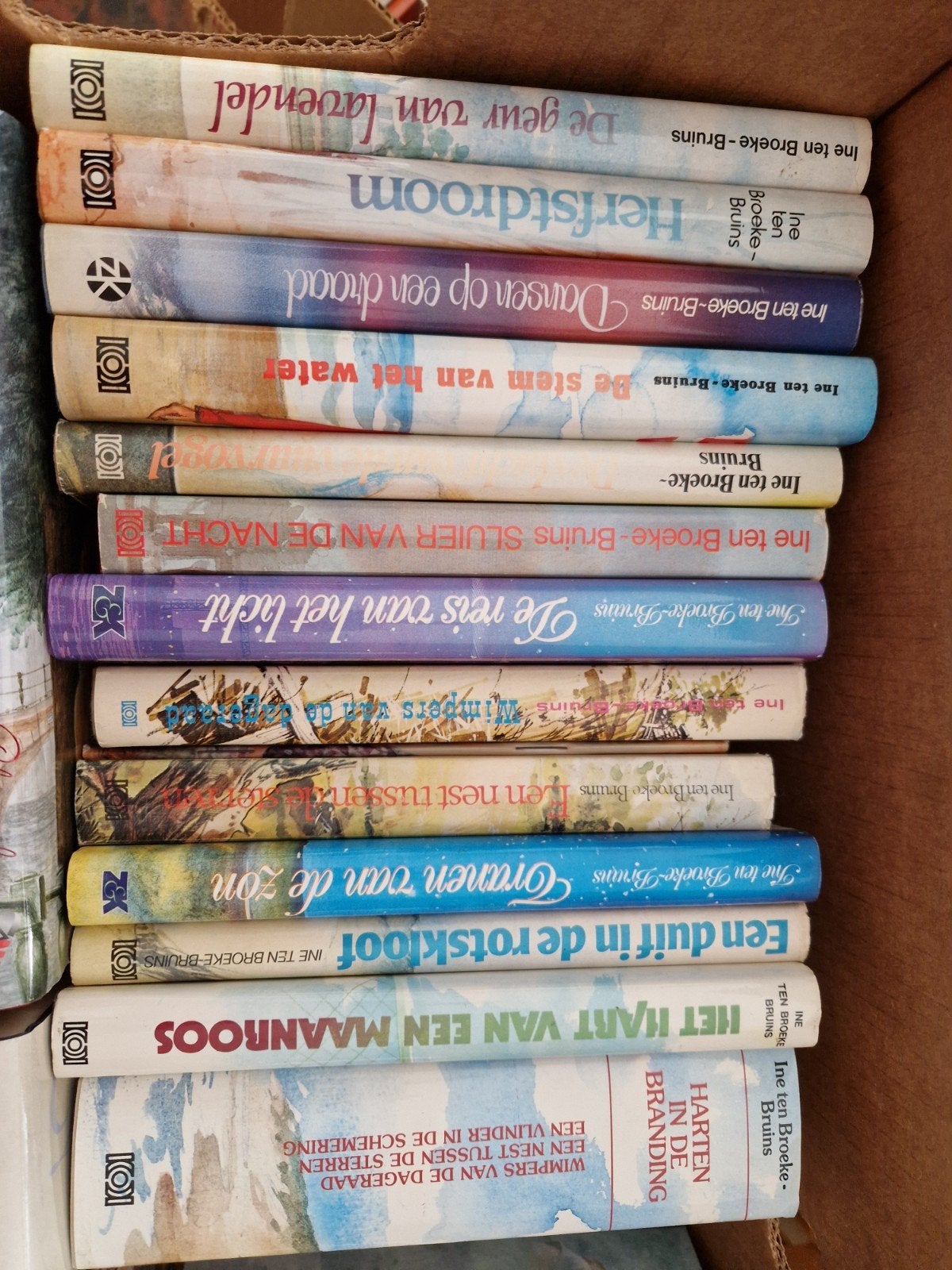 13 boeken van Ine ten Broeke-Bruins, Ophalen of Verzenden, Gelezen, Ine ten Broeke-Bruins
