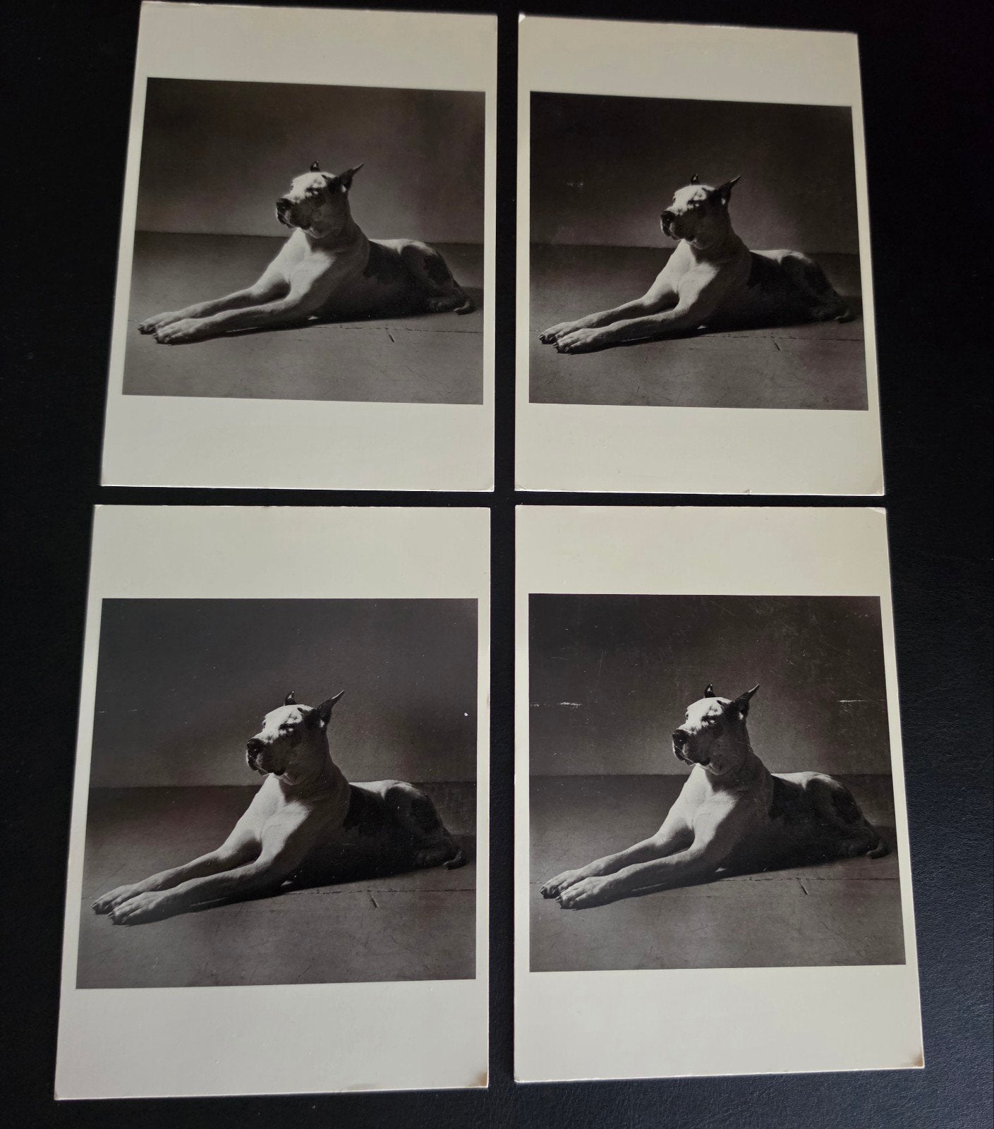 4x postkaart PETER HUIJAR GREAT DANE., Ophalen of Verzenden