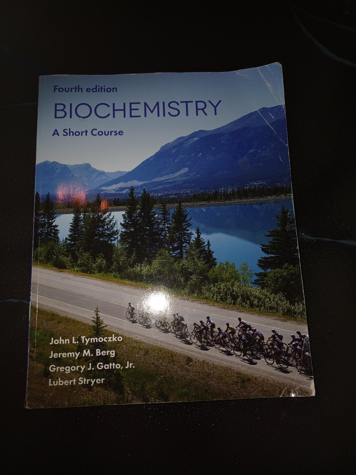Biochemistry: A Short Course, Boeken, Gelezen, John L. Tymoczko, Jeremy M. Berg, Gregory J. Gatto,, Ophalen of Verzenden, WO