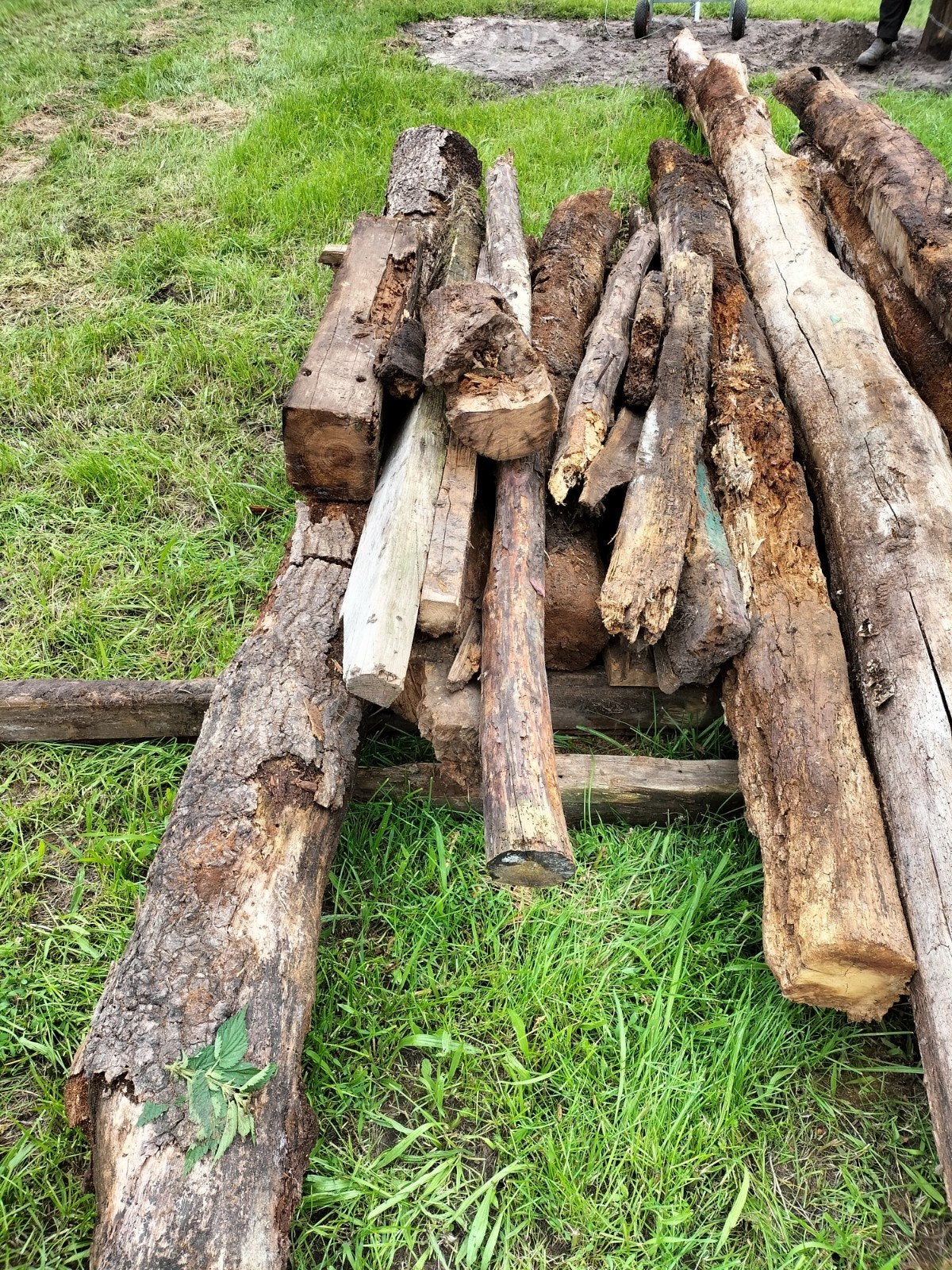 Gratis Stookhout, Tuin en Terras, Haardhout, Minder dan 3 m³, Ophalen of Verzenden