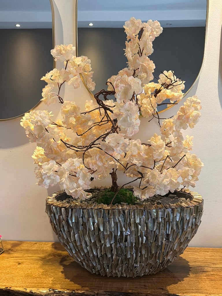 Bloesemboom met schelpenvaas, Ophalen, Binnen, Beige, Onderhoudsvrij