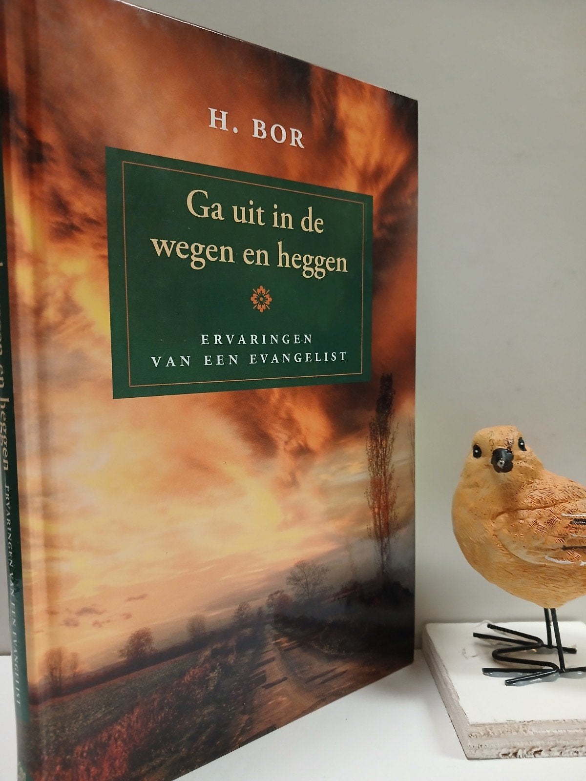 Bor, H.; Ga uit in de wegen en heggen, Ophalen of Verzenden, Gelezen, Christendom | Protestants