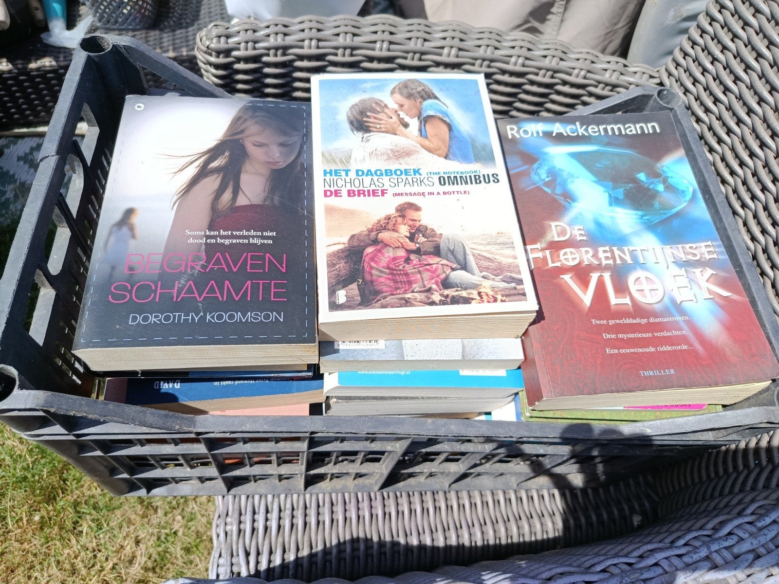 Mooie boeken voor mini bieb - diverse genres, Boeken, Romans, Gelezen, Nederland, Ophalen