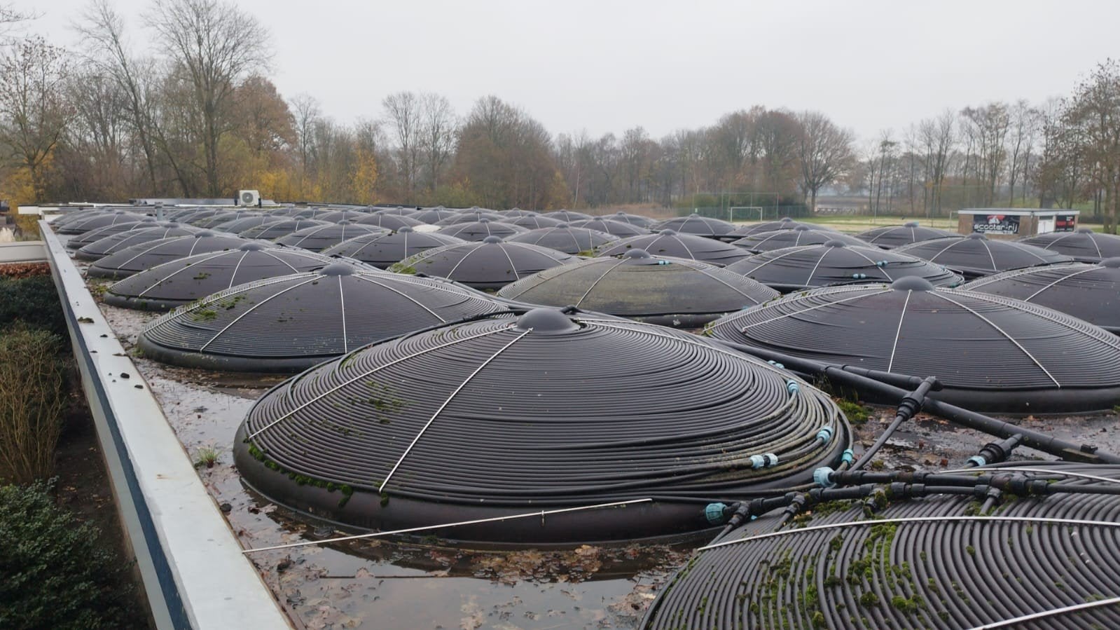 Blozoen Zonnecollectoren, zonnecollector, zonneboiler, Ophalen, Gebruikt