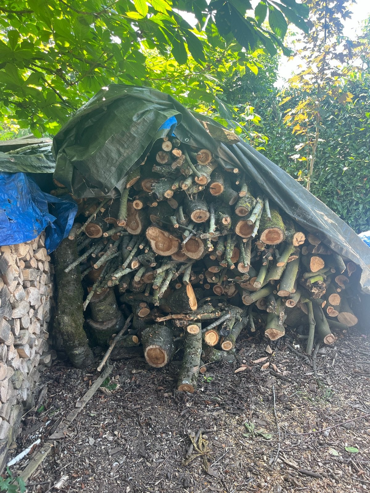Kachelhout: Kersen- en Essenhout, 2 maanden gezaagd, Minder dan 3 m³, Ophalen, Essenhout, Blokken